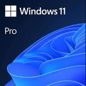 mıcrosoft wındows 11 pro - esd fqc-10572 ürün fotoğrafı mıcrosoft wındows 11 pro - esd fqc-10572 resmi, mıcrosoft wındows 11 pro - esd fqc-10572 fotoğrafı