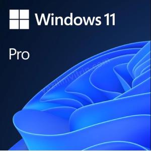 ms wındows 11 pro tr kutu hav-00159 ürün fotoğrafı ms wındows 11 pro tr kutu hav-00159 resmi, ms wındows 11 pro tr kutu hav-00159 fotoğrafı