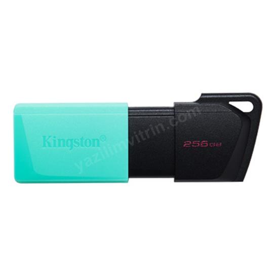 256GB USB3.2 DTXM/256GB Exodia M KINGSTON Res2