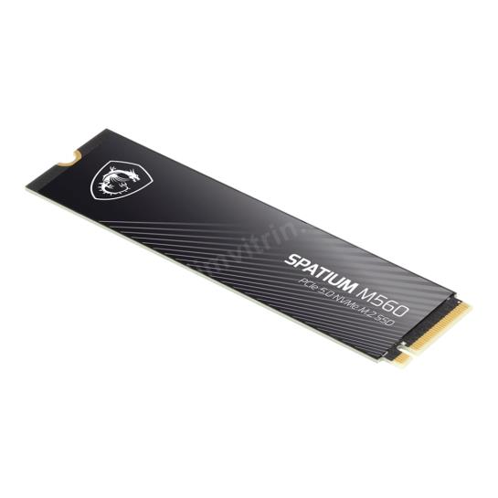 2TB MSI SPATIUM M560 PCIE 5.0 NVME M2 10300/8700MB/s Res5