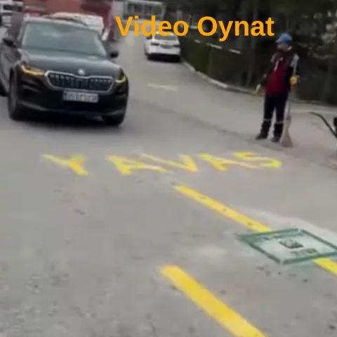 OttoPark PD-900 Kablosuz Loop Dedektör Metal Kütle Dedektörü Kit EKO