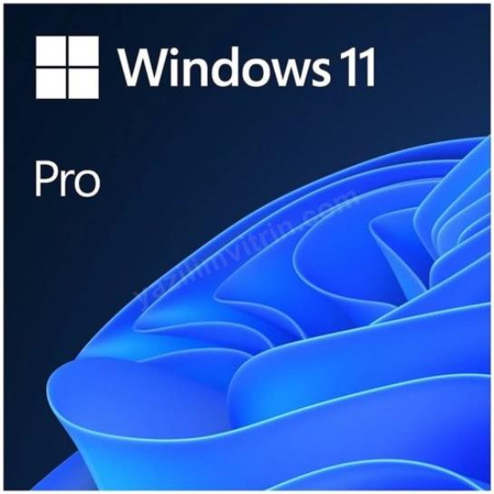 ms wındows 11 pro 64bıt tr oem fqc-10556 ürün fotoğrafı ms wındows 11 pro 64bıt tr oem fqc-10556 resmi, ms wındows 11 pro 64bıt tr oem fqc-10556 fotoğrafı
