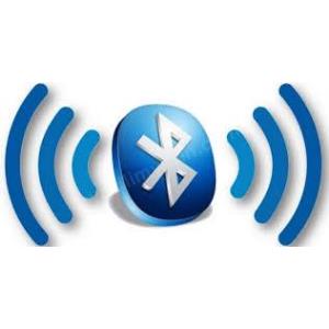 WottoPark V2025 Bluetooth 2 Roleli Tetık Kartı WottoPark V2025 Bluetooth 2 Roleli Tetık Kartı